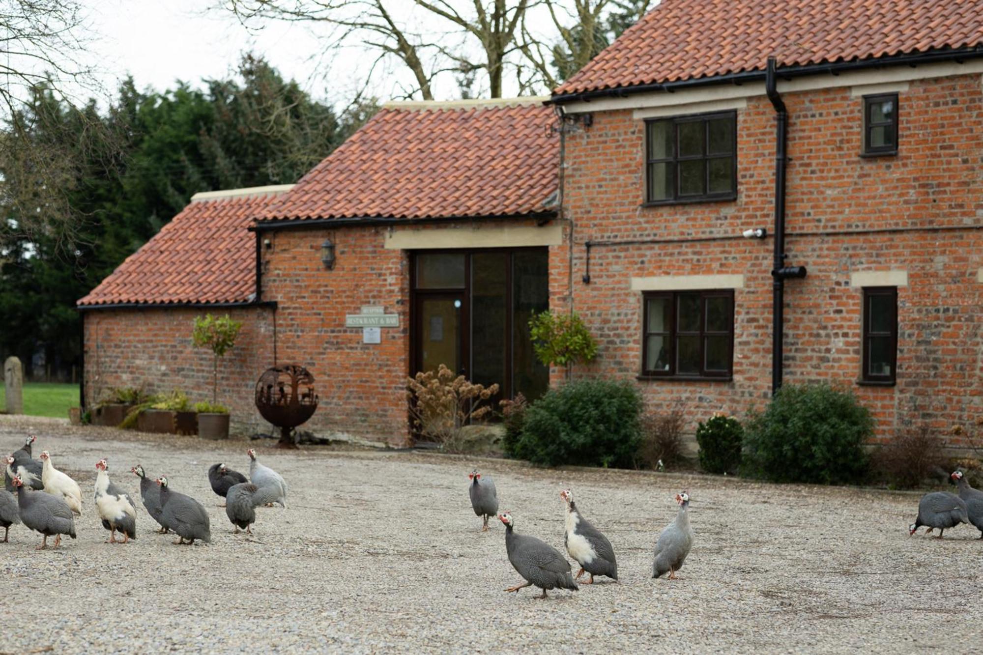 Brickfields Farm Bed & Breakfast Kirkbymoorside Exterior photo